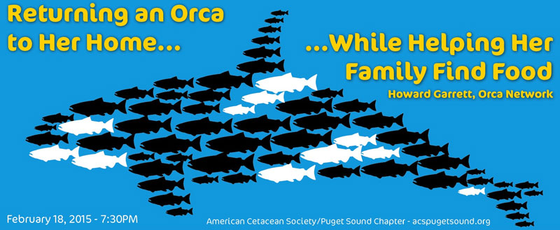 orca graphic composed of chinook salmon by Uko Gorter orca graphic composed of chinook salmon by Uko Gorter