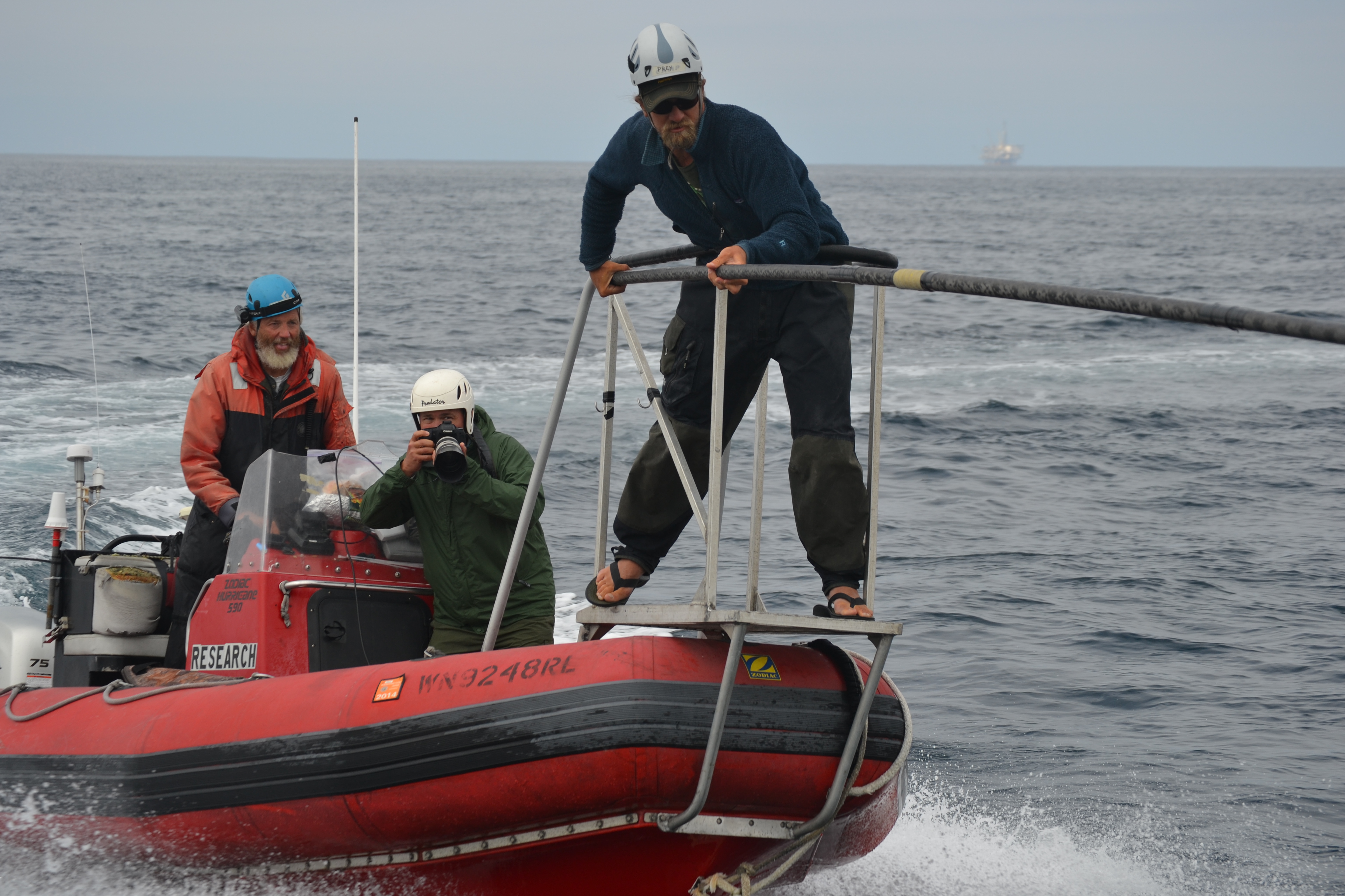 John Calambokidis and crew tagging a whale